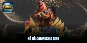 đá gà Campuchia Xin88
