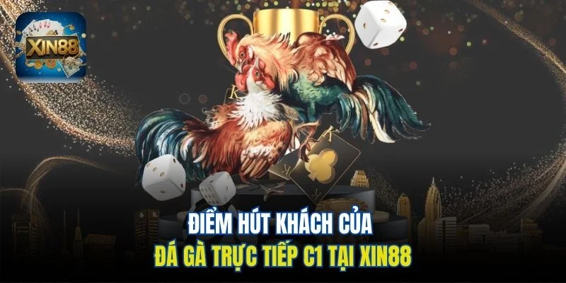 Điểm hút khách của đá gà trực tiếp C1 tại Xin88