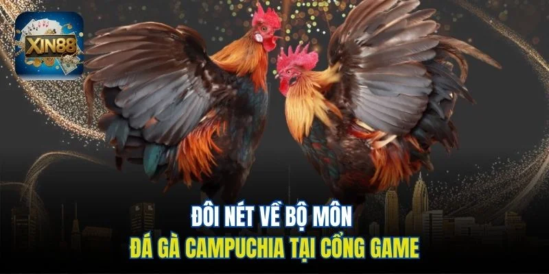 Đôi nét về bộ môn đá gà Campuchia tại cổng game