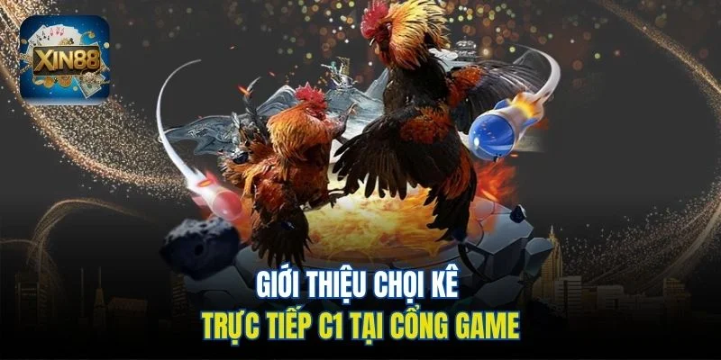 Giới thiệu chọi kê trực tiếp C1 tại cổng game