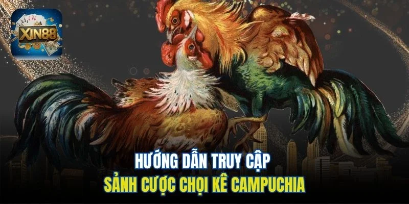 Hướng dẫn truy cập sảnh cược chọi kê Campuchia