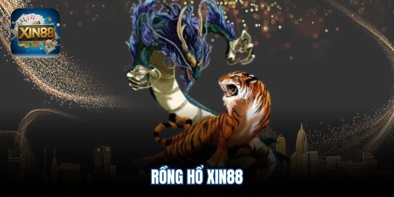 Rồng hổ Xin88