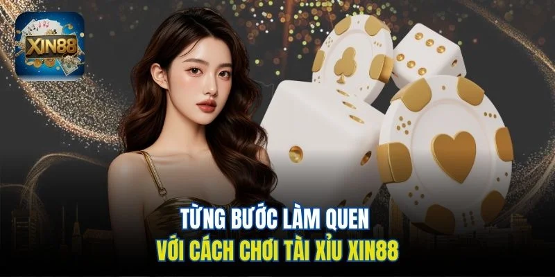 Từng bước làm quen với cách chơi Tài xỉu Xin88